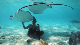 Diver Plays With STING RAY // Underwater Close Encounters