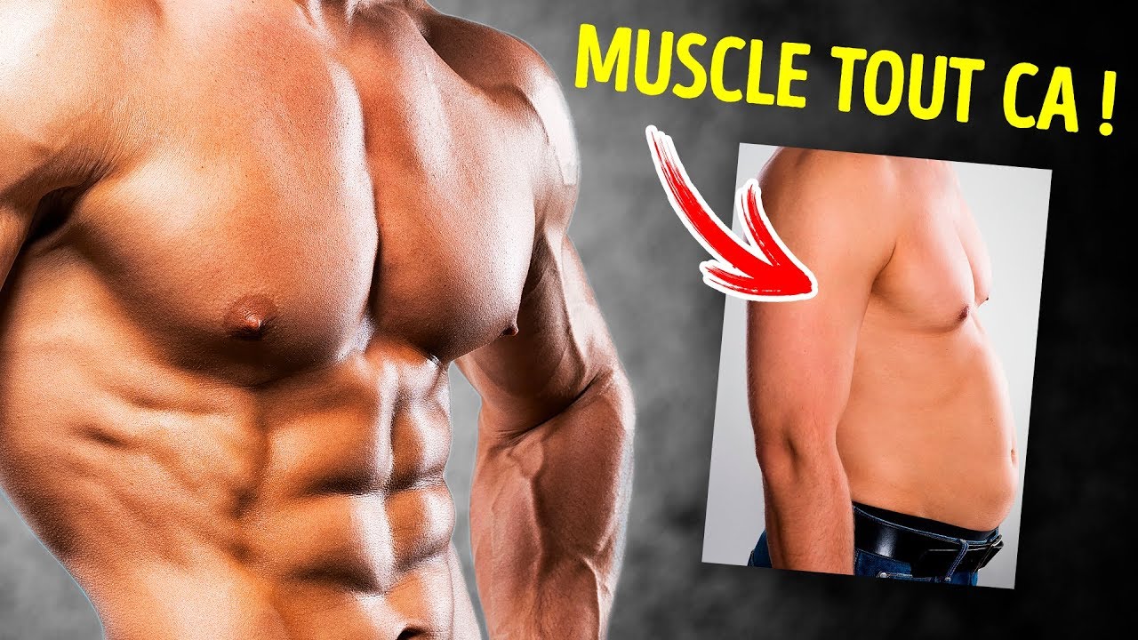 tour de poitrine homme musculation