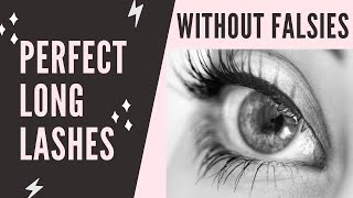 Get Amazing Lashes Over 50 Without Falsies: Try This Lash Serum &amp; Mascara Routine! Works for All