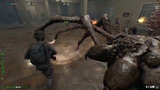 Dead Frontier 2 CCT-10 Solo Nix Boss Matriach Full