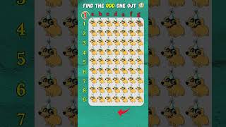 Can you find the ODD dog Out in 10 seconds? Brain Test!  #mindgames #iqtest #emojichallenge #quiz