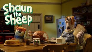 Ewe've Been | SHAUN THE SHEEP