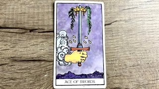 CAPRICORN ♑️ Next 24! This information revealed shows how this goes in your favor!