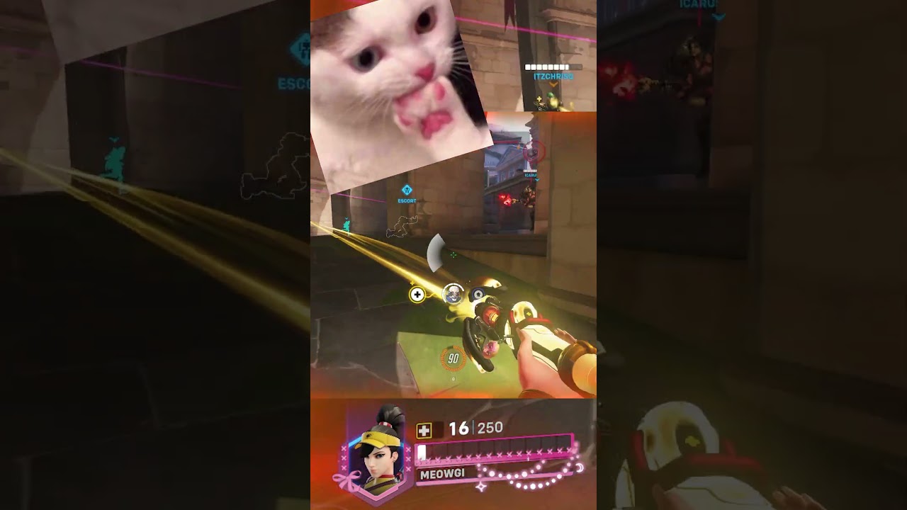 pov of a tossed salad, but zero death game!  