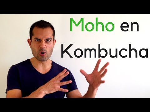 Moho En Kombucha