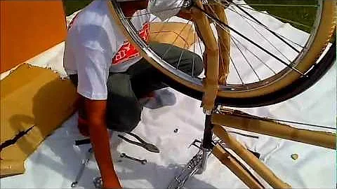 Raleigh Type/Phillips Type/ traditional Indian Roa...