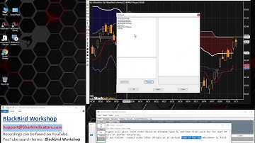 BlackBird Workshop - Opening an Entry Order on Indicator A but Trail Indicator B
