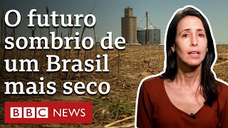 Como destruição do ambiente ameaça agricultura e expõe Brasil a clima extremo