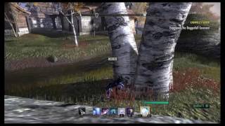 PS4 ESO 1 vs 5 PVP