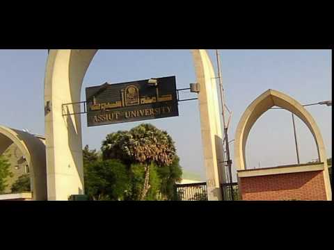 جامعة أسيوط تعلن نسبة النجاح وأسماء أوائل كلية الهندسة