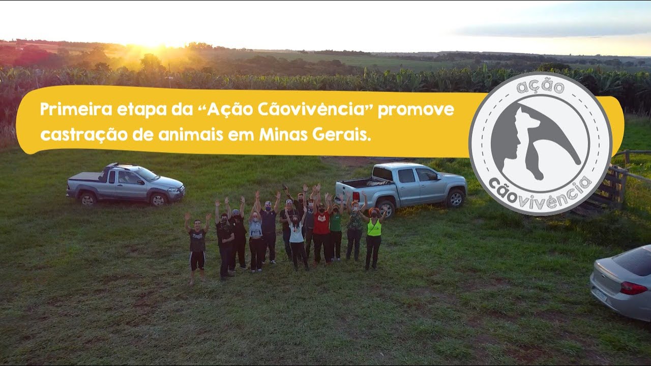 ICAS e Instituto Estadual de Florestas realizam primeira etapa da “Ação Cãovivência” em Minas ICAS e Instituto Estadual de Florestas realizam primeira etapa da “Ação Cãovivência” em Minas