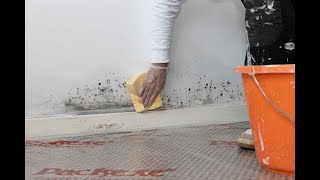 Keeping mould & mildew at bay with Zinsser PermaWhite
