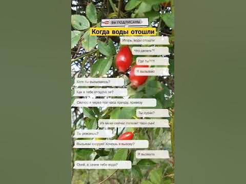 Когда воды отошли - YouTube