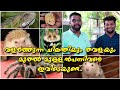 Exotic pets collection in Alappuzha 🤩 || വളർത്തുന്ന ചിലന്തി, തവള, മുള്ളൻപന്നി, എല്ലാം ഇവിടെയുണ്ട്!!😍