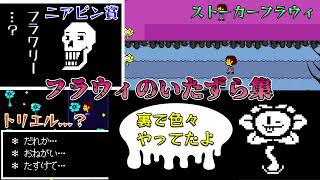 【UNDERTALE】フラウィのいたずら集　裏でどんなことをしていた？