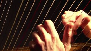 Francisco Tárrega - Recuerdos de la Alhambra - Sylvain Blassel, harp chords