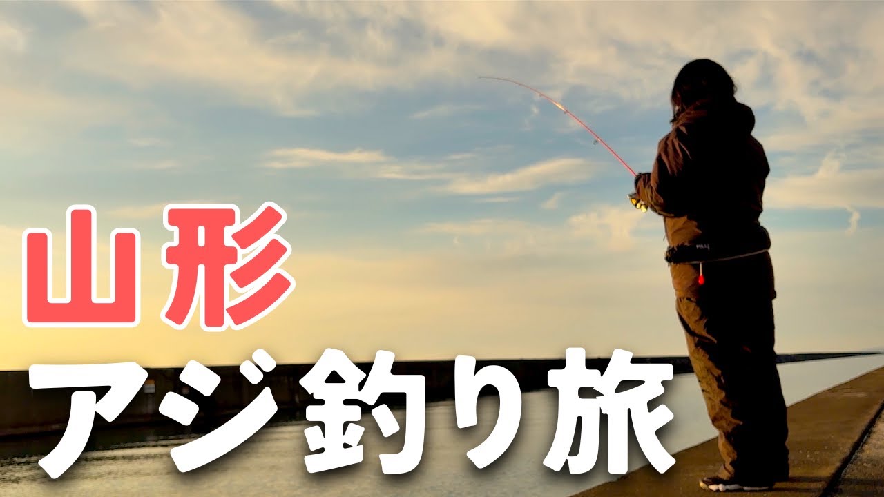 【釣り車中泊】山形でアジを釣る旅。良型アジが釣れて最高の旅がスタート！