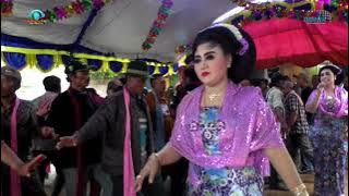 TAYUB TUBAN : SANTRI PEKOK //  SALOME