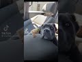 هتزعلني هزعلك هتزعلني هزعلك