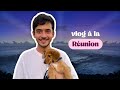 Episode 165  vlog la runion les animaux ps  a va pleurnicher fort