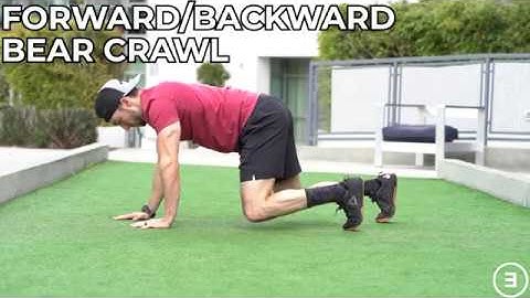 Forward/Backward Bear Crawl