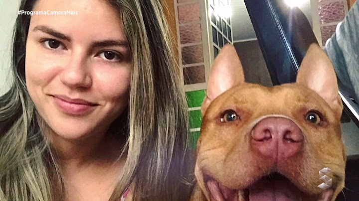 Meu Amigo Pet - Dona de pit bulls fala como organiza a casa durante o cio dos cães