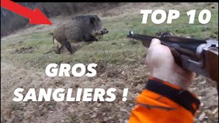 TOP 10 : GROS SANGLIERS 2021 BEST OF !!!