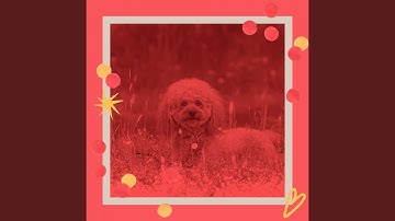 Pulsating Ambience for Cute Puppies