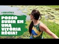 O QUE NÃO PODE DEIXAR DE FAZER EM MANAUS | Viagem para Amazônia Ep.02 | Chapinha na Mala