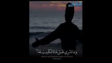 من نعيم القرآن🌻" إِن اللّه عنده علم الساعة وينزل الغيث " تلاوة 🎧 نادرة #الشيخ_محمد_أيوب سورة لقمان .