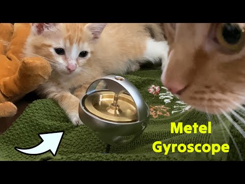 7500RPM Metal Gyroscope