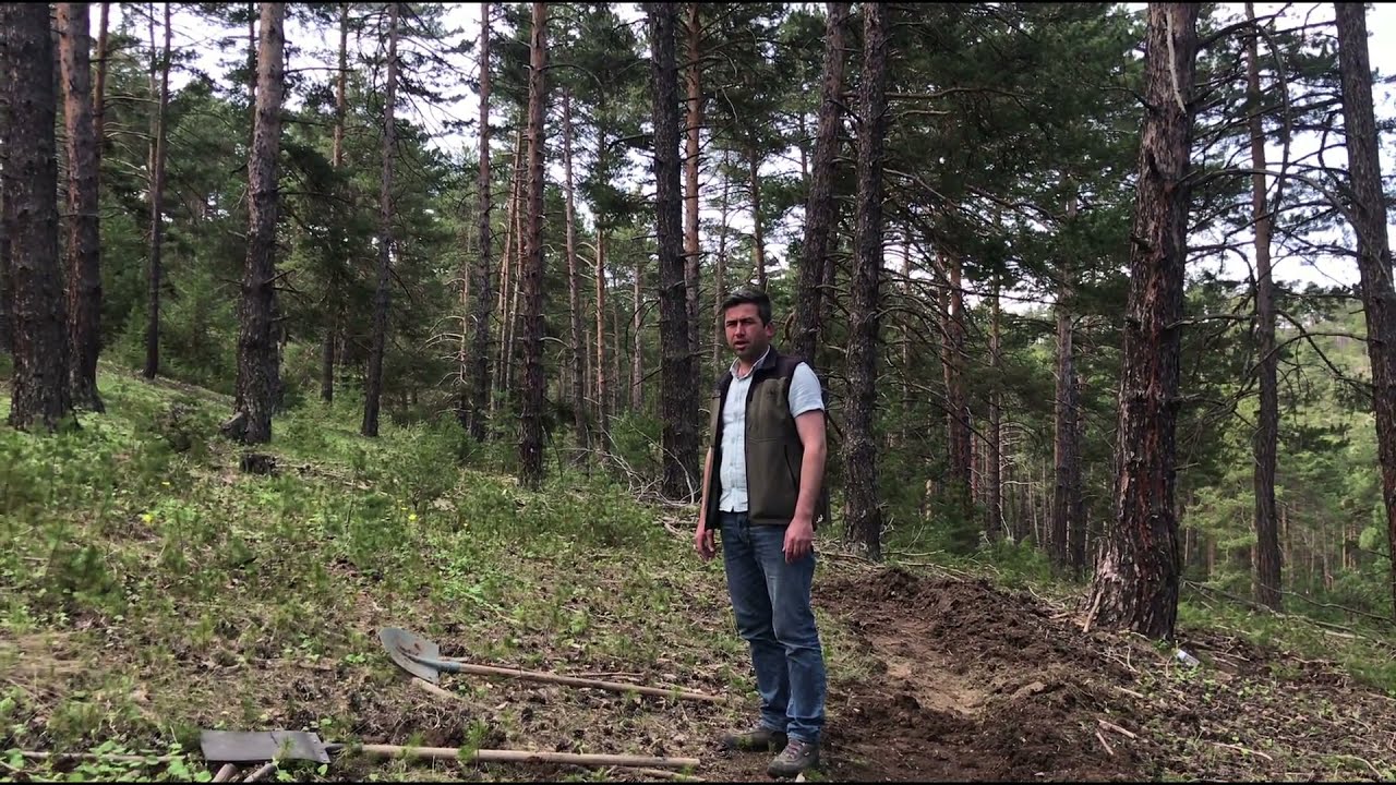 Orman Yangınlarında Şerit Açma