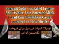 Emerald Split Cockatiel Female|Emerald Cockatiel Bird|Split WhiteFace Emerald BlackHead Line#emerald