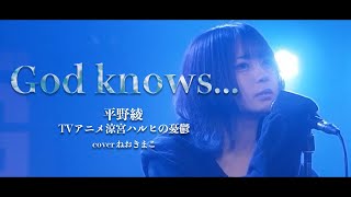 God knows...【涼宮ハルヒの憂鬱】平野綾 cover by ねおきまこ