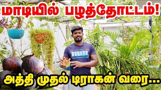 மாடியில் பழத்தோட்டம்... 600 சதுர அடியில் அத்தி முதல் டிராகன் வரை... | #terrace Orchard