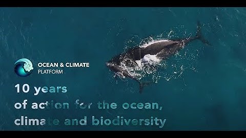 Ocean & Climate Platform - 10 years of action for the ocean, climate and biodiversity
