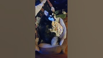 Getting comfortable 😌