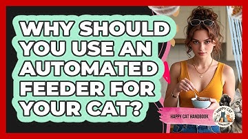 Why Should You Use An Automated Feeder For Your Cat? - Happy Cat Handbook