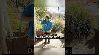 Porch Pirate But It’s a Real Pirate