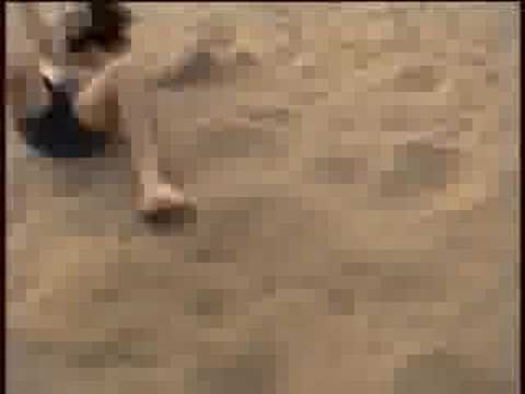 elbicho — elbicho - Locura