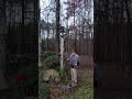 3/5/25. GOOD ASH WEDNESDAY MORNING BELL RING