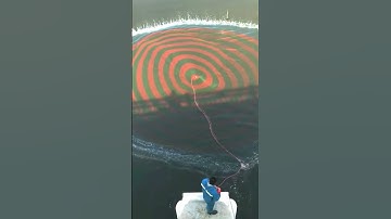 The last video was yellow,this time change to blue #fish #net #catch