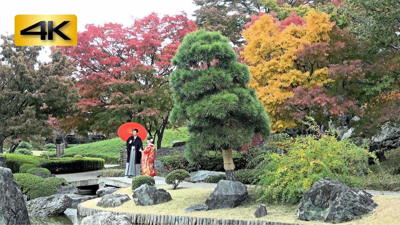 紅葉の花田苑 はなたえん Autumn Scenery Of Hanataen In Japan Beautiful Japanese Garden 埼玉県越谷市花田 4k Youtube