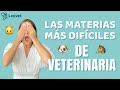 LAS MATERIAS MÁS DIFÍCILES DE VETERINARIA - Lauvet