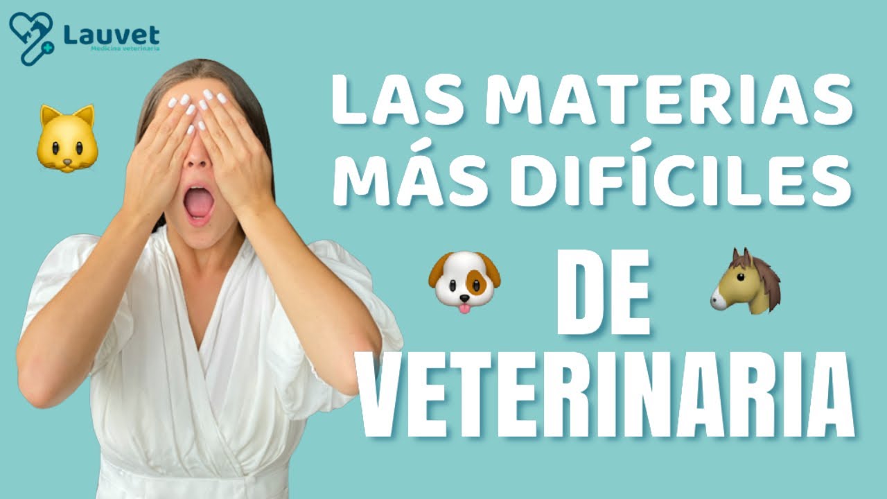 LAS MATERIAS MÁS DIFÍCILES DE VETERINARIA - Lauvet - YouTube