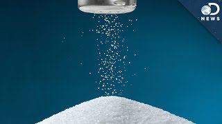 How Much Salt Do Humans Need? How Much Salt Do Humans Need?