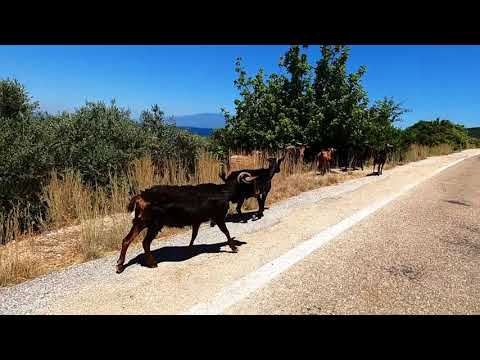 Trip To Trikeri, Pelion Greece 🇬🇷 4K Video