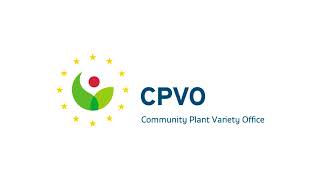 How to Use the CPVO Communication Center