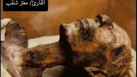 تلاوة للقارئ/ معتز شنقب