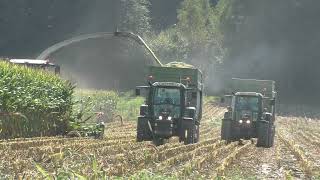 Auf der Jagd nach Mais der Claas Jaguar 980 und Claas Orbis 750 für eine Ganz Große Biogas Anlage i